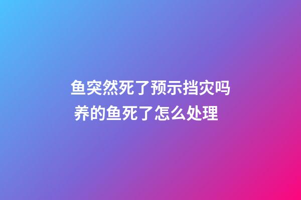鱼突然死了预示挡灾吗 养的鱼死了怎么处理